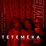 Purevibe – Tetemeka ft. Dj Lindash, Ms Bune, Dj VansS, Kay_Gee07 & Dess Da Deejay