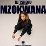 DJ Tshegu ft Sims Noreng – Mzokwana Mp3 Download