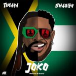 Timaya ft. Shaggy – Joko Mp3 Download